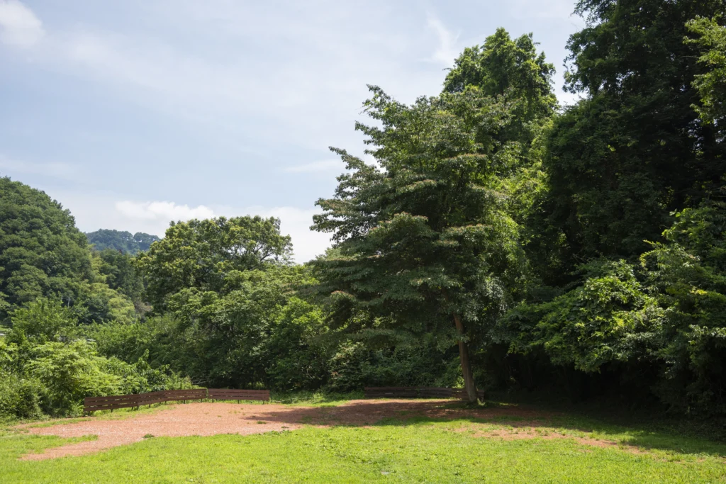 DSC5262